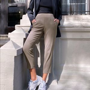 Aritzia Babaton Conan Pants